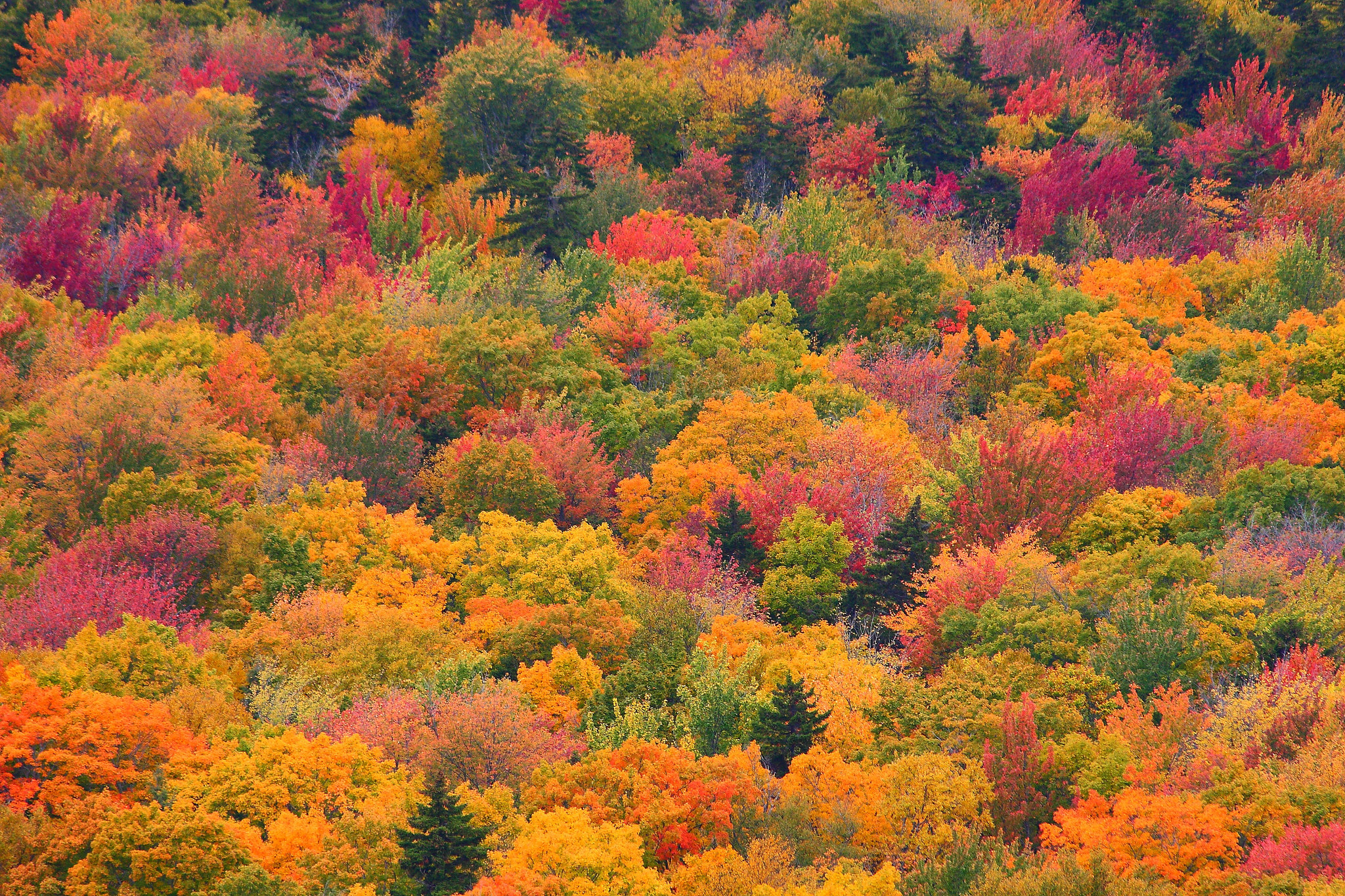 Fall Foliage   The Greater Bangor area is your gateway to some of ...